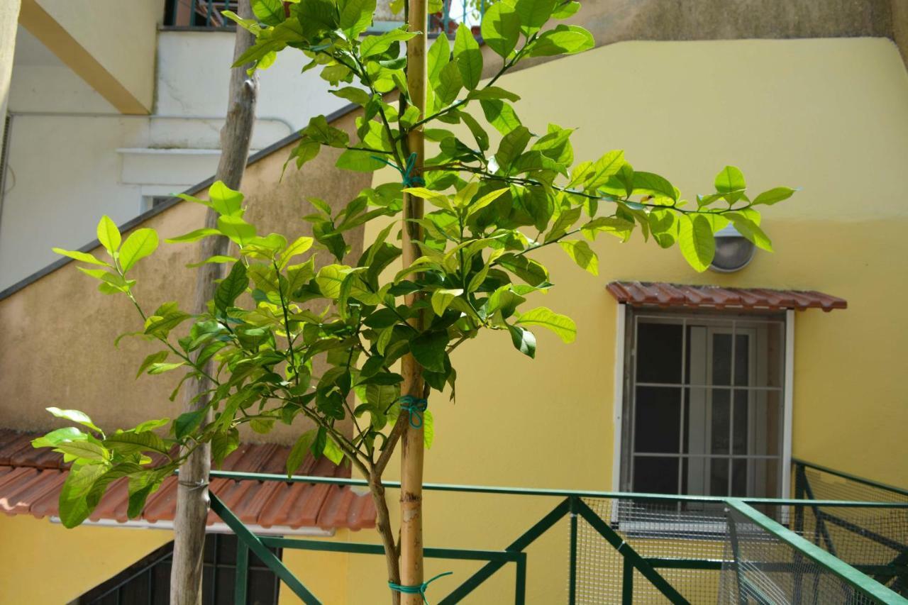 La Bomboniera Villa Maiori Buitenkant foto